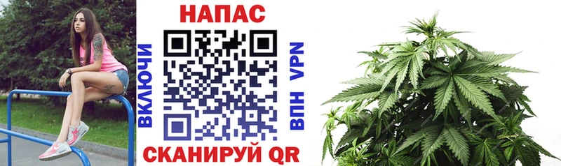 Сколько стоит Малаховка LSD-25  КОКАИН  ГАШИШ  Амфетамин  Меф  Галлюциногенные грибы  A-PVP  Каннабис 