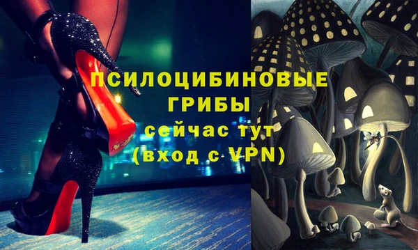 винт Алексеевка