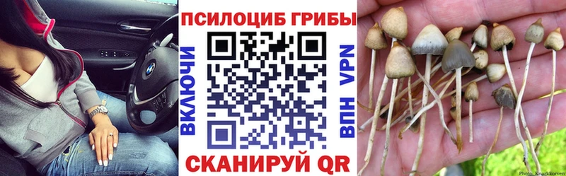 Псилоцибиновые грибы ЛСД  где найти наркотики  OMG рабочий сайт  Малаховка 